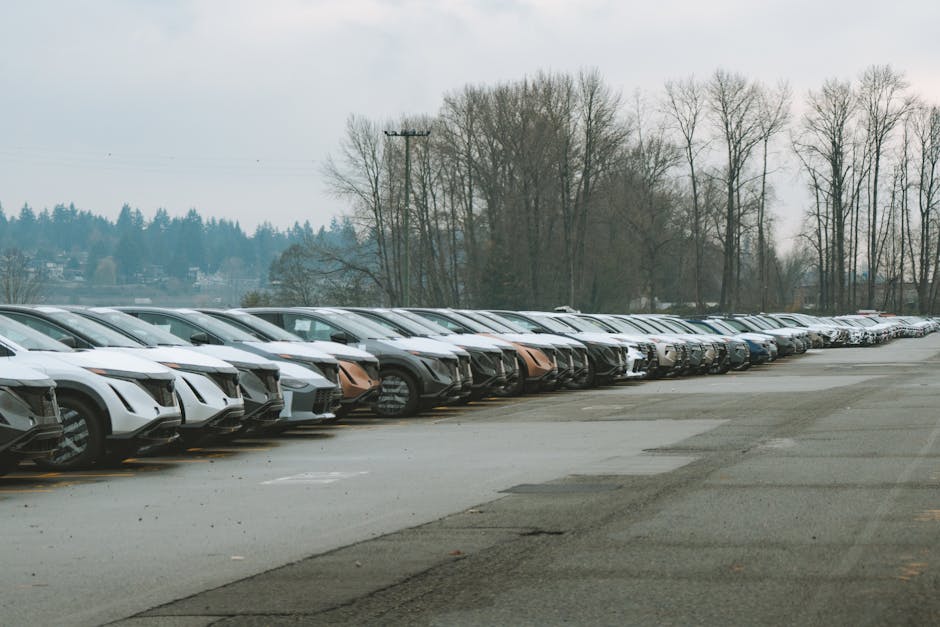 Autos electrificados se duplican: ANAC reporta 18.802 ventas en 2026