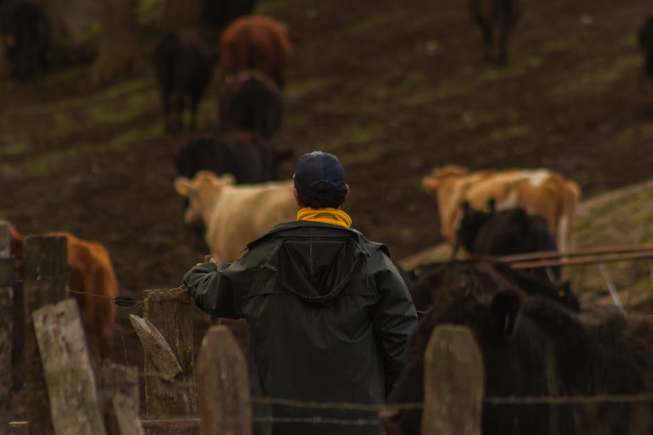 Contraloría detecta créditos irregulares en INDAP: $3.181 millones siguen morosos
