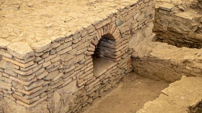 Informe sitúa fosa clandestina con hasta 30 desaparecidos en ex vertedero de Macul: relatos de fusilamientos y entierros secretos