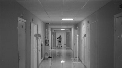 Contraloría acusa a dos oncólogos de Temuco de derivar pacientes a su centro