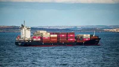 El líder hutí dará un discurso clave hoy: ¿los rebeldes yemeníes entran a la guerra?