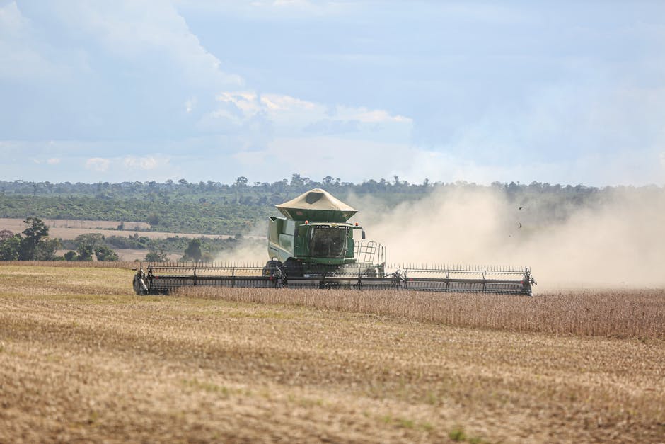 Iansa suspende compra de remolacha para 2026-2027 y pone en jaque a histórica industria agrícola