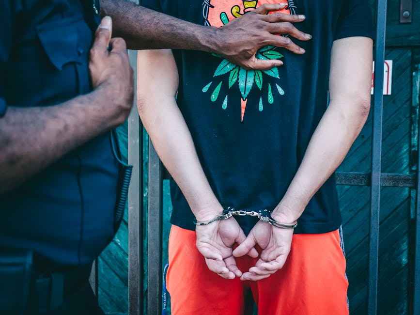 ICE arresta en Florida al exjefe de inteligencia de Brasil condenado por conspirar golpe