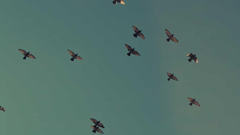 Irán afirma derribar aviones de EEUU sobre el Estrecho de Hormuz: el Pentágono lo desmiente, pero confirma un F-35 dañado