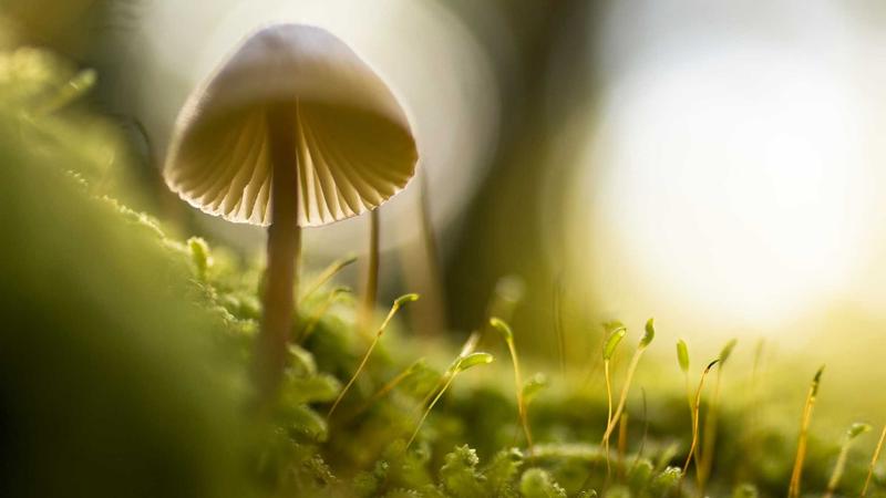 Irán amenaza con el cierre total del Estrecho de Ormuz si EEUU ataca sus centrales eléctricas