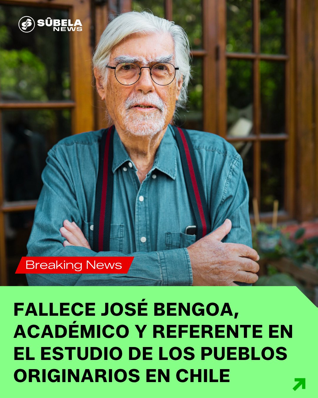 Fallece José Bengoa, el historiador que puso al pueblo mapuche en el centro de la historia chilena