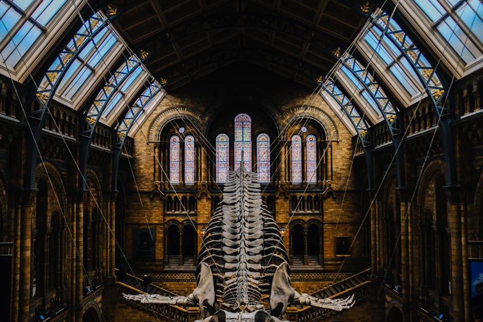 Esqueleto de dinosaurio en sala de museo de historia natural