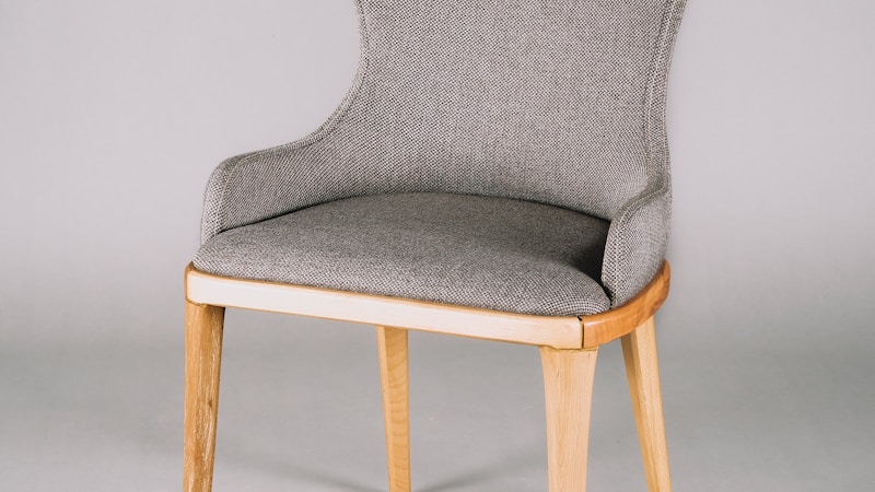 Un mosquito cerró la frontera entre Chile y Argentina por 24 horas