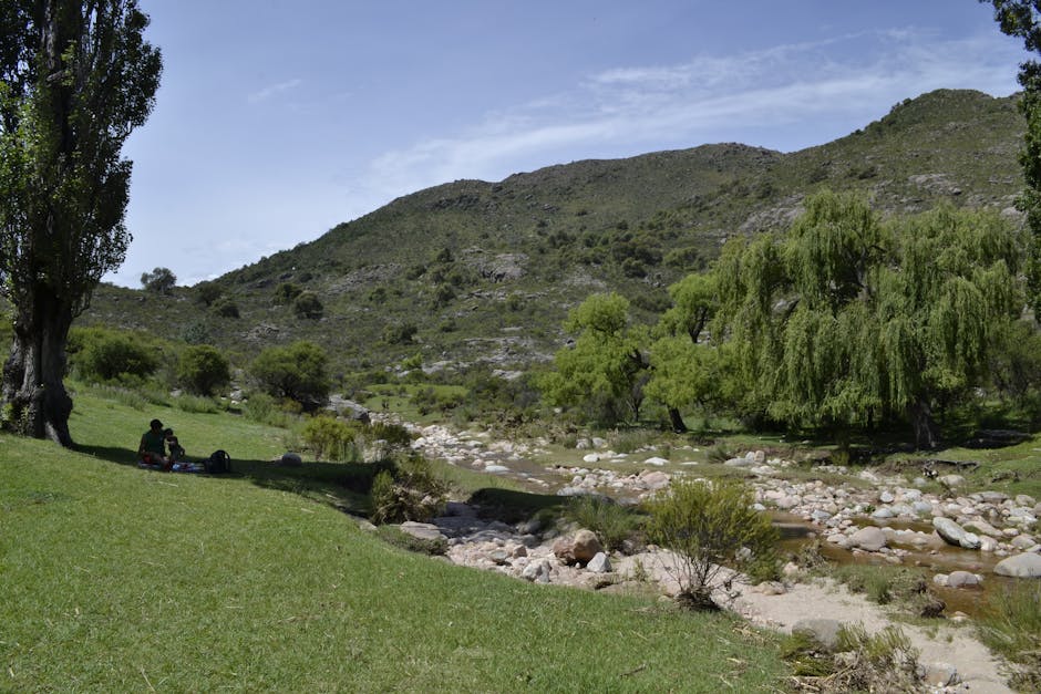 Sendero junto a arroyo de montaña