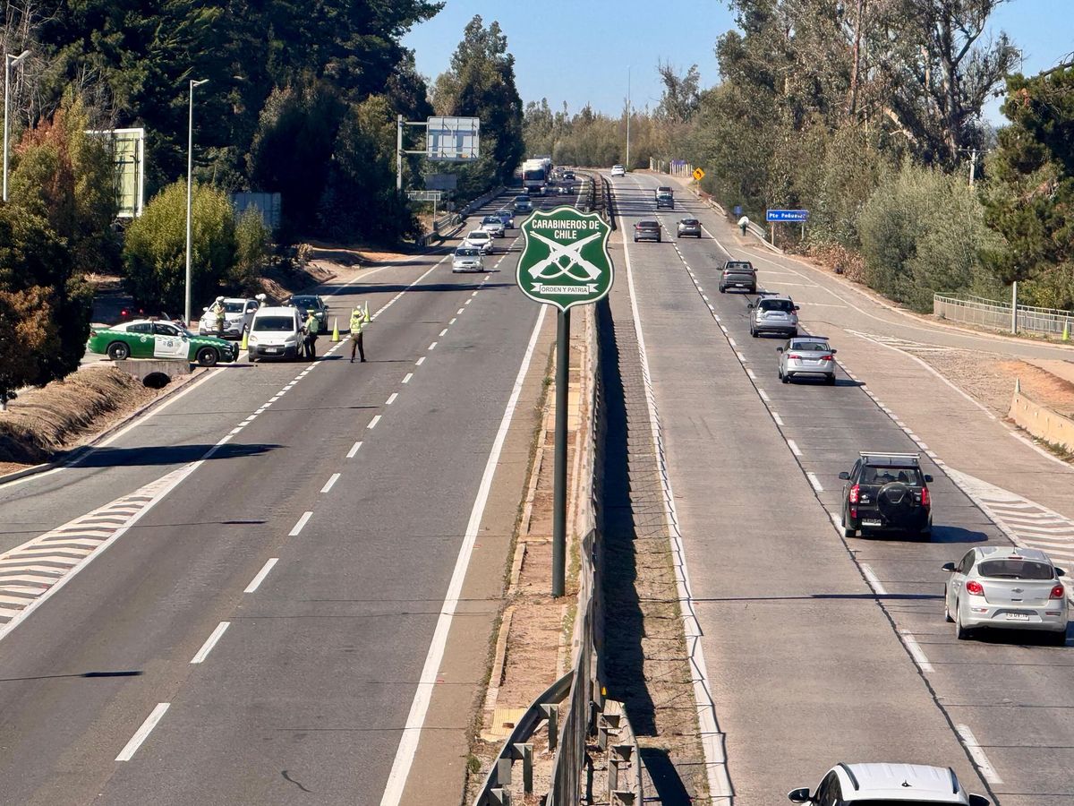 Semana Santa: tres muertos y 86 detenidos en 35 mil controles de Carabineros