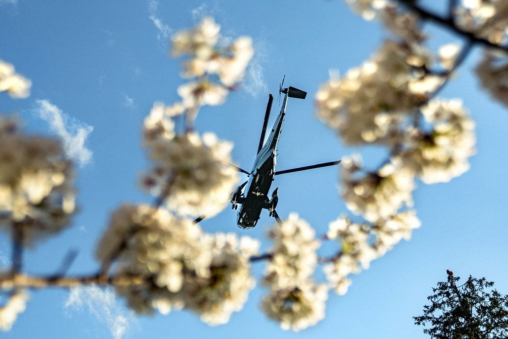 Trump confiesa: llama 