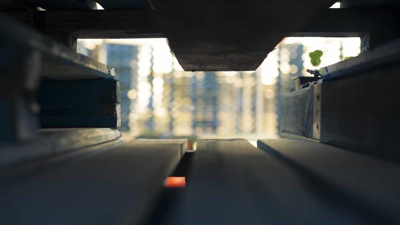 Trump anuncia pausa de cinco días en ataques a Irán, pero Teherán desmiente haber negociado